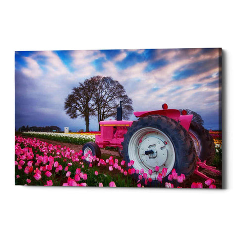 Image of 'Jane Deere' by Darren White, Canvas Wall Art