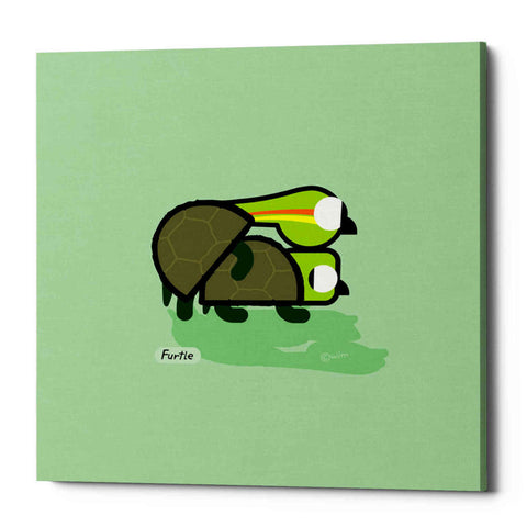 Image of 'Furtle' by Chuck Wimmer, Canvas Wall Art
