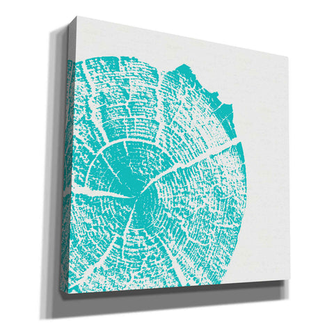 Image of 'Aqua Slice' by Linda Woods, Canvas Wall Art