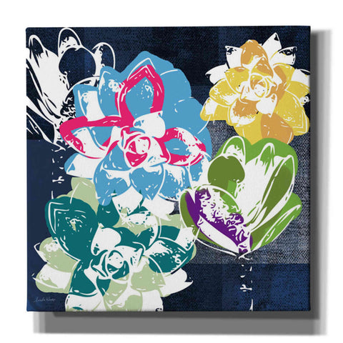 Image of 'Colorful Succulents II' by Linda Woods, Canvas Wall Art