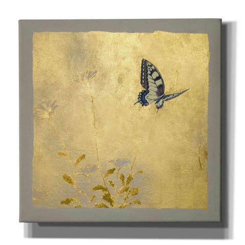 Image of 'Butterfly L' by Zigen Tanabe, Giclee Canvas Wall Art