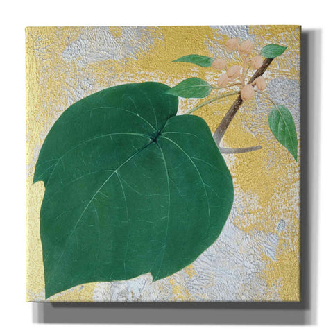 Image of 'Paulownia' by Zigen Tanabe, Giclee Canvas Wall Art