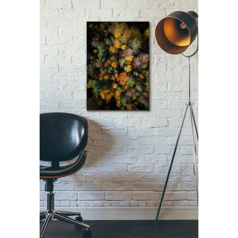 Image of 'Autumn Forest - Aerial Photography' by Nicklas Gustafsson, Canvas Wall,18x26