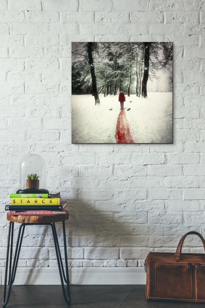 'Pure' by Mario Sanchez Nevado, Canvas Wall Art,26x26