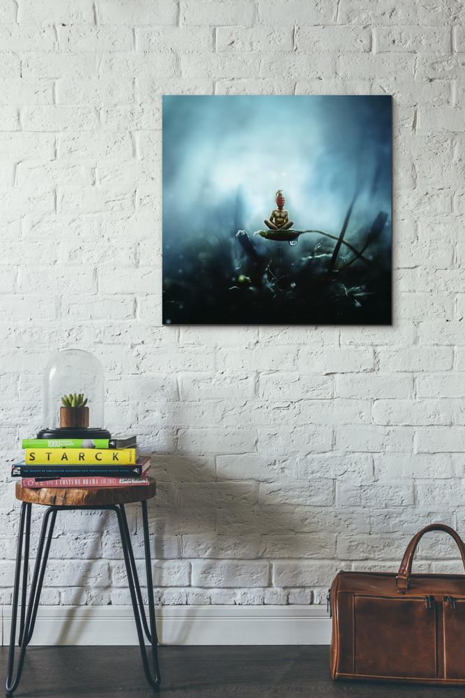 'Temporary Peace' by Mario Sanchez Nevado, Canvas Wall Art,26x26