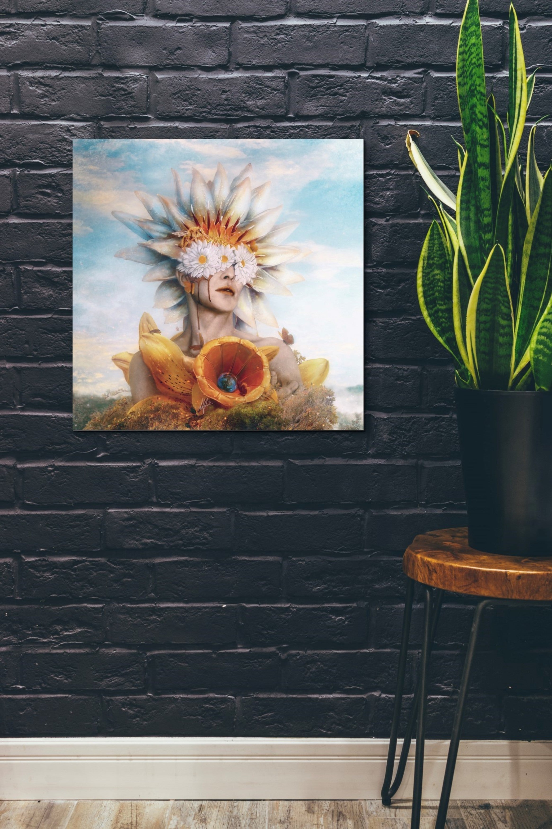 'Honey' by Mario Sanchez Nevado, Canvas Wall Art,26x26