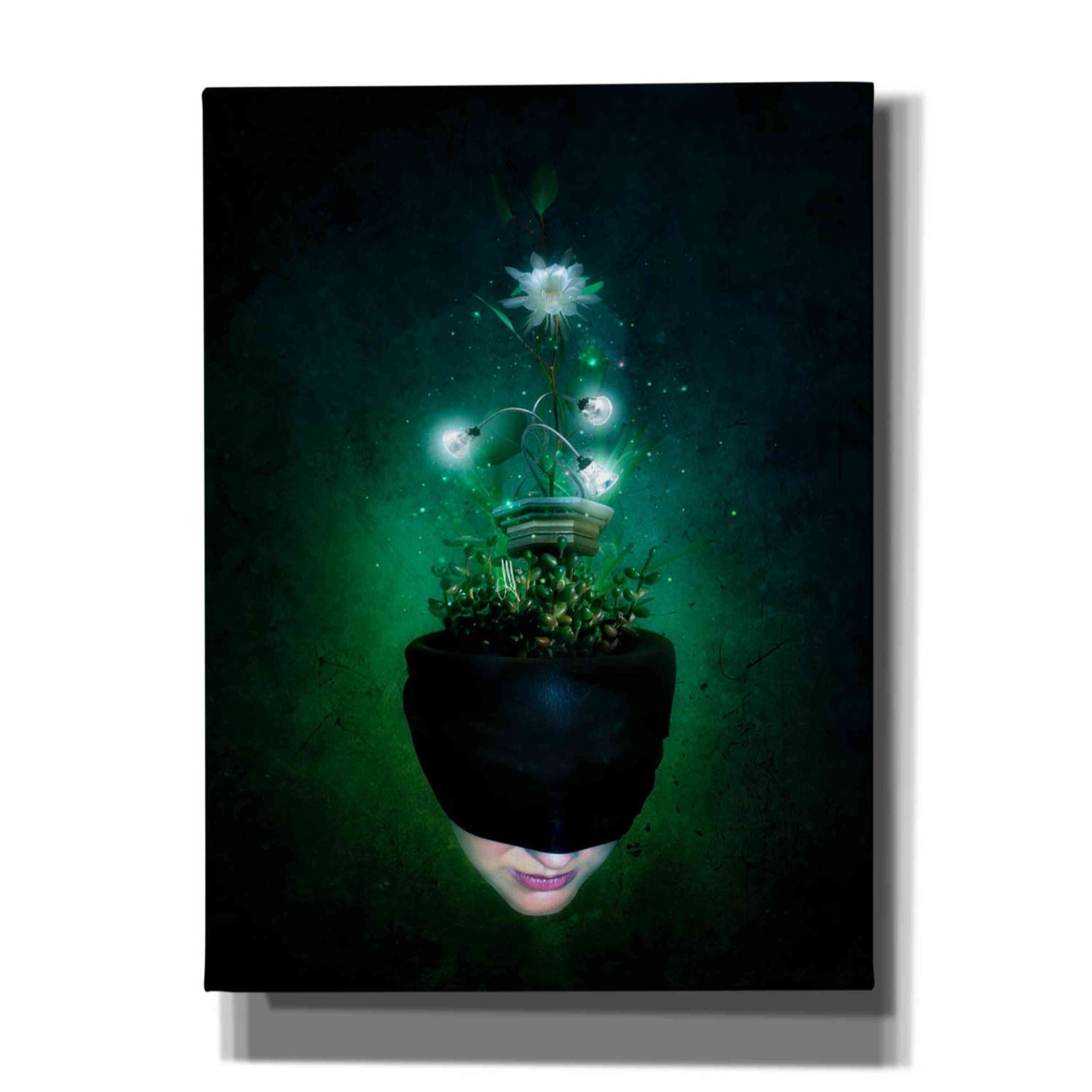 'Herbal Movement I' by Mario Sanchez Nevado, Canvas Wall Art