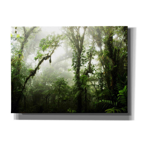 Image of 'Clodud Forest' by Nicklas Gustafsson Canvas Wall Art