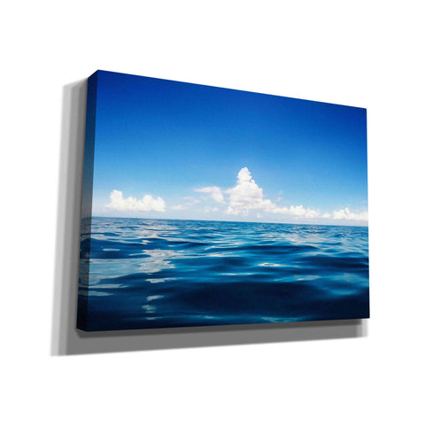 Image of 'Deep Blue' by Nicklas Gustafsson Canvas Wall Art