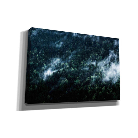 Image of 'Foggy Forest Mountain' by Nicklas Gustafsson Canvas Wall Art