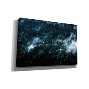 'Foggy Forest Mountain' by Nicklas Gustafsson Canvas Wall Art