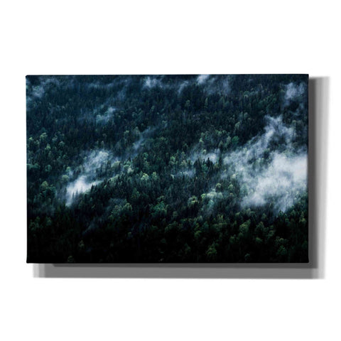 Image of 'Foggy Forest Mountain' by Nicklas Gustafsson Canvas Wall Art