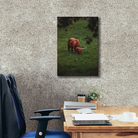 Image of 'Grazing Highlander' by Nicklas Gustafsson Canvas Wall Art,18x26