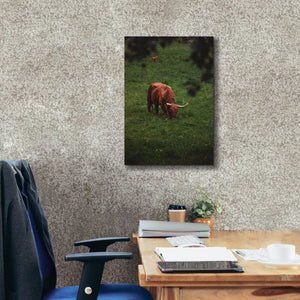 'Grazing Highlander' by Nicklas Gustafsson Canvas Wall Art,18x26