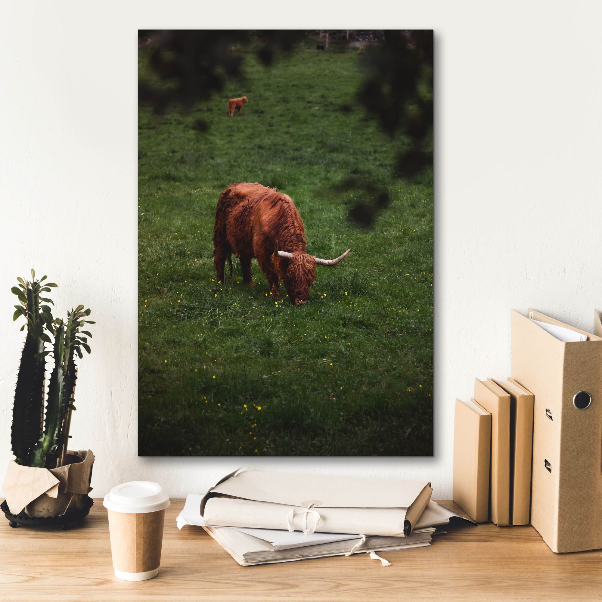 'Grazing Highlander' by Nicklas Gustafsson Canvas Wall Art,18x26