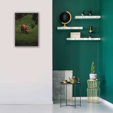 Image of 'Grazing Highlander' by Nicklas Gustafsson Canvas Wall Art,18x26