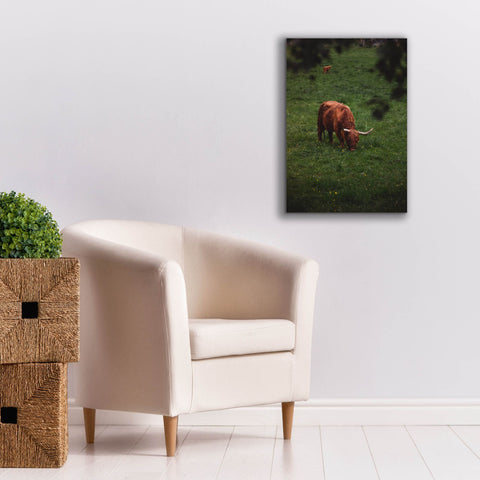 Image of 'Grazing Highlander' by Nicklas Gustafsson Canvas Wall Art,18x26