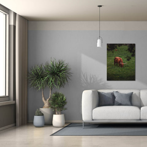 Image of 'Grazing Highlander' by Nicklas Gustafsson Canvas Wall Art,26x34