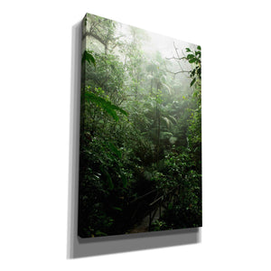 'Into The Cloud Forest' by Nicklas Gustafsson Canvas Wall Art