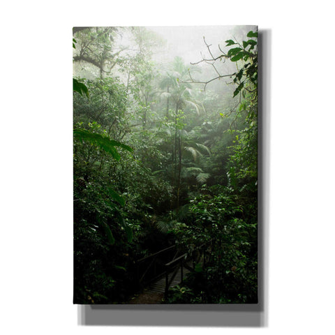 Image of 'Into The Cloud Forest' by Nicklas Gustafsson Canvas Wall Art
