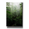 'Into The Cloud Forest' by Nicklas Gustafsson Canvas Wall Art