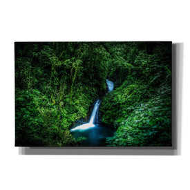 'Jungle Waterfall' by Nicklas Gustafsson Canvas Wall Art