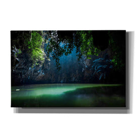 'Lagoon' by Nicklas Gustafsson Canvas Wall Art