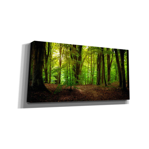 Image of 'Summer Forest' by Nicklas Gustafsson Canvas Wall Art