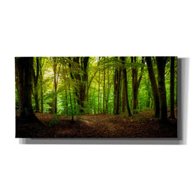 'Summer Forest' by Nicklas Gustafsson Canvas Wall Art