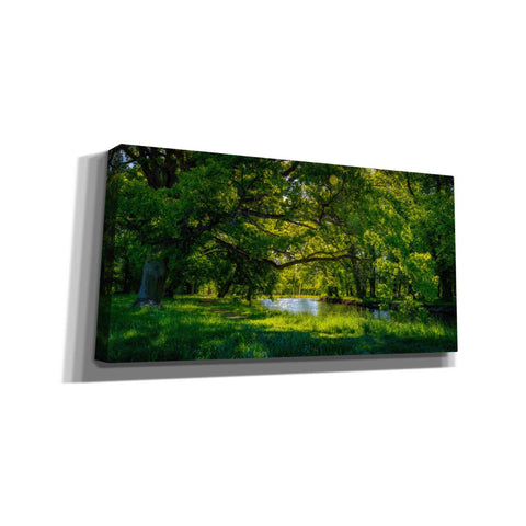 Image of 'Summer Morning In The Park' by Nicklas Gustafsson Canvas Wall Art