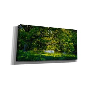 'Summer Morning In The Park' by Nicklas Gustafsson Canvas Wall Art