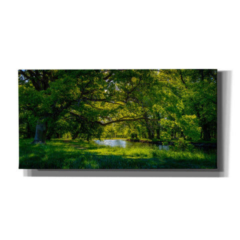 Image of 'Summer Morning In The Park' by Nicklas Gustafsson Canvas Wall Art