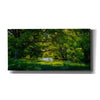 'Summer Morning In The Park' by Nicklas Gustafsson Canvas Wall Art