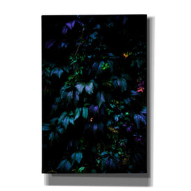 'Jungle' by Nicklas Gustafsson Canvas Wall Art