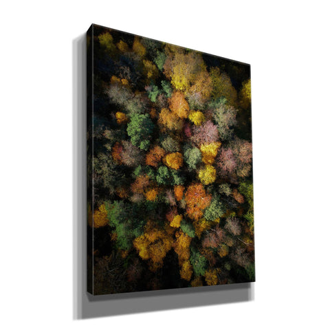 Image of 'Autumn Forest - Aerial Photography' by Nicklas Gustafsson, Canvas Wall