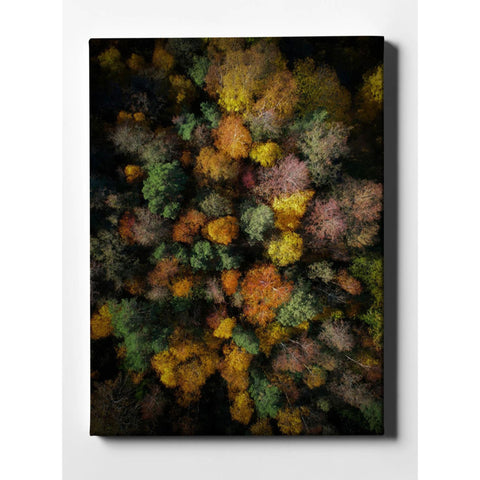 Image of 'Autumn Forest - Aerial Photography' by Nicklas Gustafsson, Canvas Wall