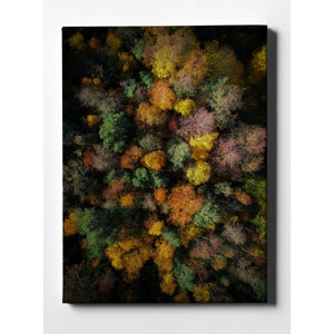 'Autumn Forest - Aerial Photography' by Nicklas Gustafsson, Canvas Wall