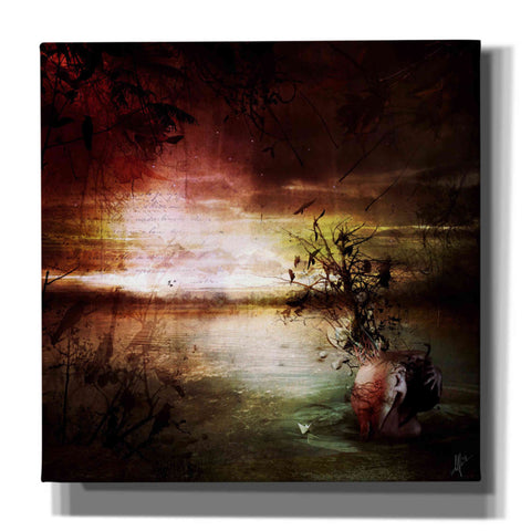 Image of 'Alone' by Mario Sanchez Nevado, Canvas Wall Art,Size 1 Square