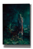'At Night' by Mario Sanchez Nevado, Canvas Wall Art,Size B Portrait