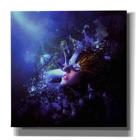 Image of 'Last Travel of the Butterflies' by Mario Sanchez Nevado, Canvas Wall Art,Size 1 Square