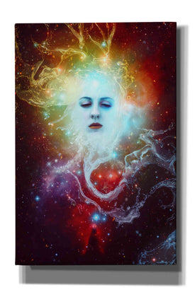 'Conscience' by Mario Sanchez Nevado, Canvas Wall Art,Size A Portrait