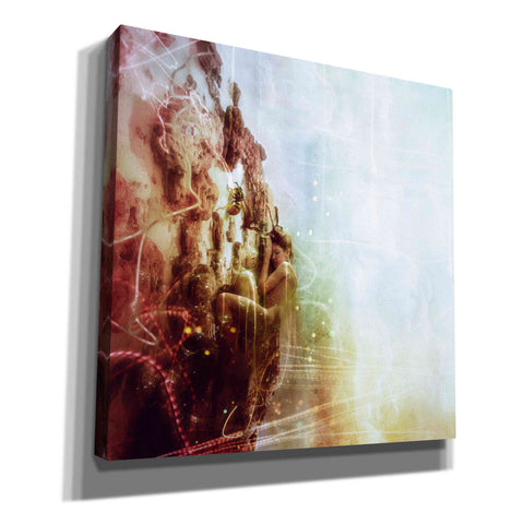 Image of 'How To Disappear Completely' by Mario Sanchez Nevado, Canvas Wall Art,Size 1 Square