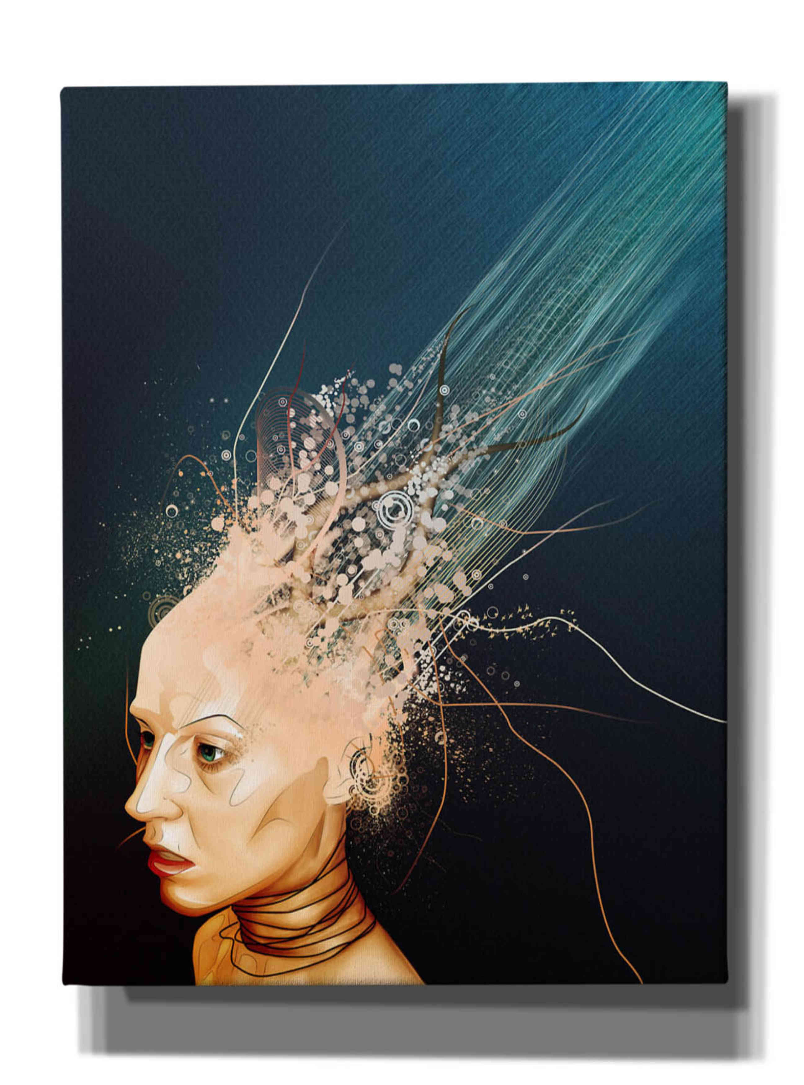 'Emotionless' by Mario Sanchez Nevado, Canvas Wall Art,Size B Portrait