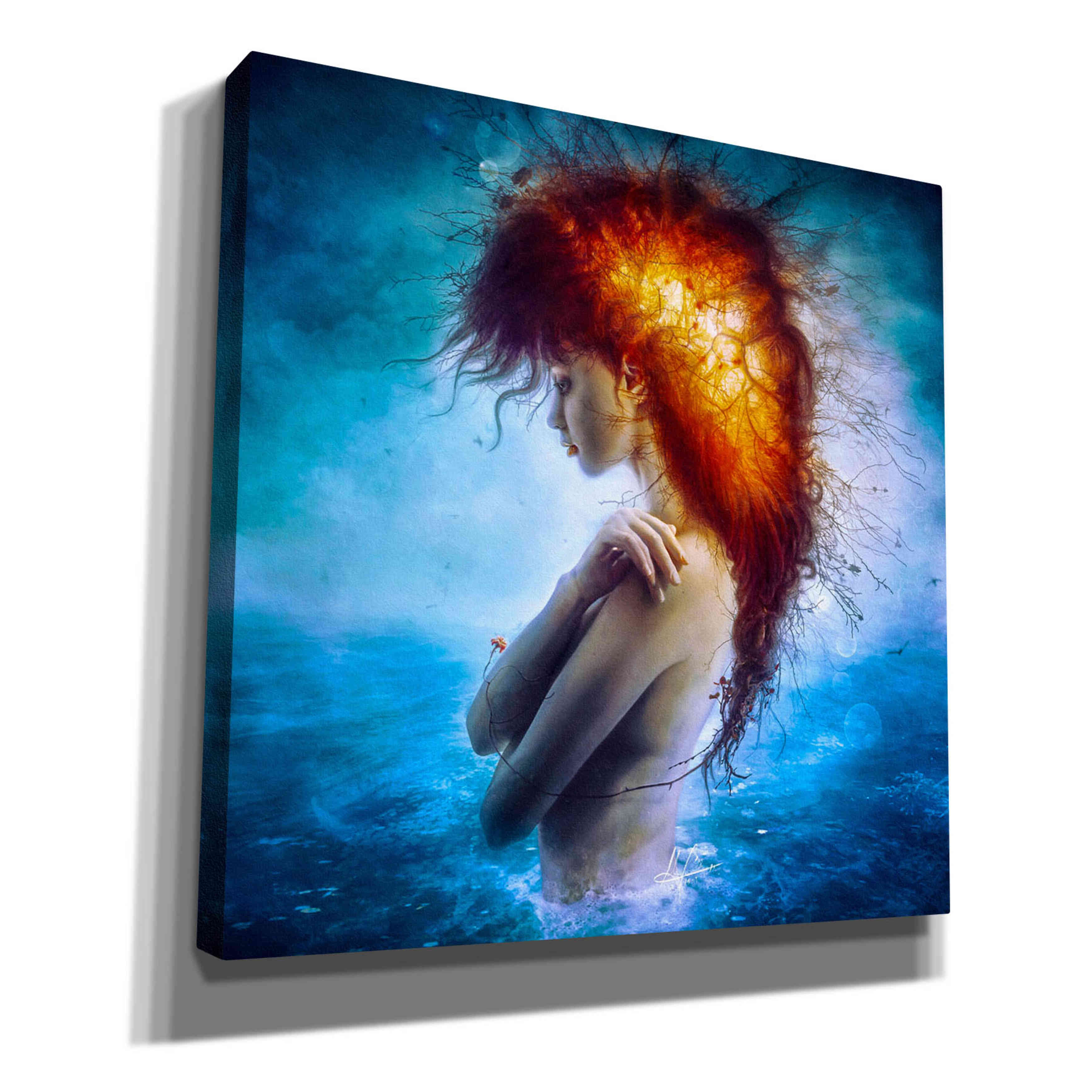 'Nirvana' by Mario Sanchez Nevado, Canvas Wall Art,Size 1 Square