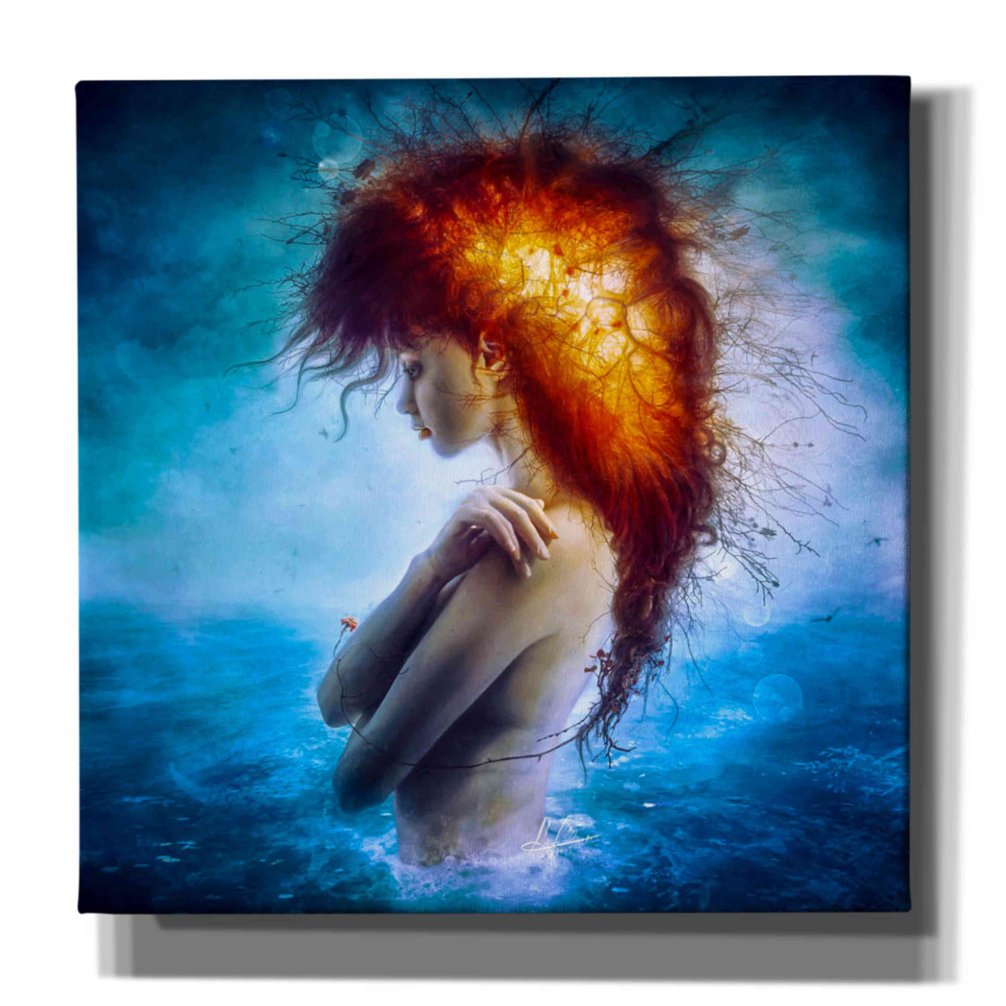 'Nirvana' by Mario Sanchez Nevado, Canvas Wall Art,Size 1 Square