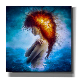 'Nirvana' by Mario Sanchez Nevado, Canvas Wall Art,Size 1 Square