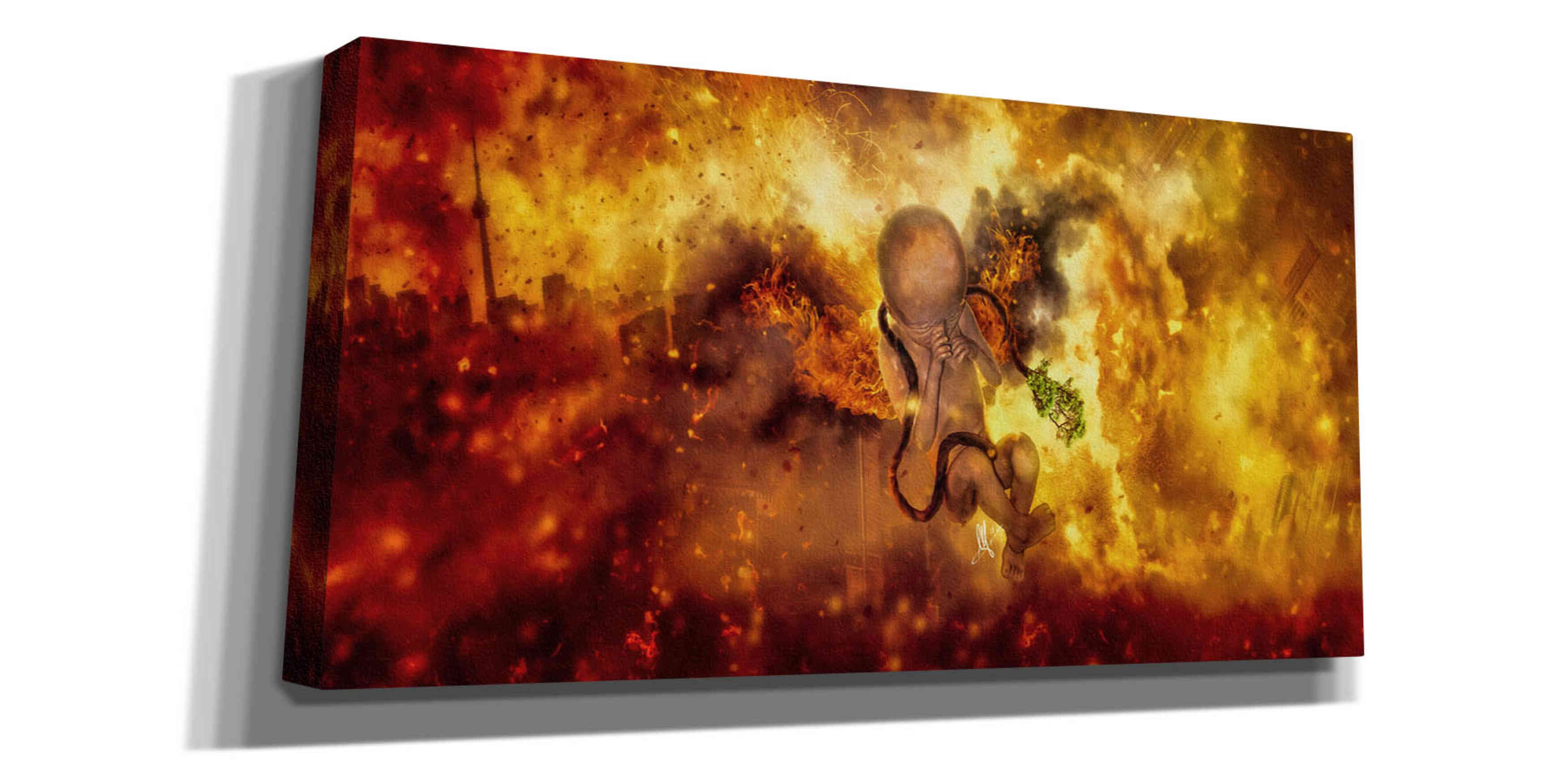 'Phoenix Newborn' by Mario Sanchez Nevado, Canvas Wall Art,Size 2 Landscape