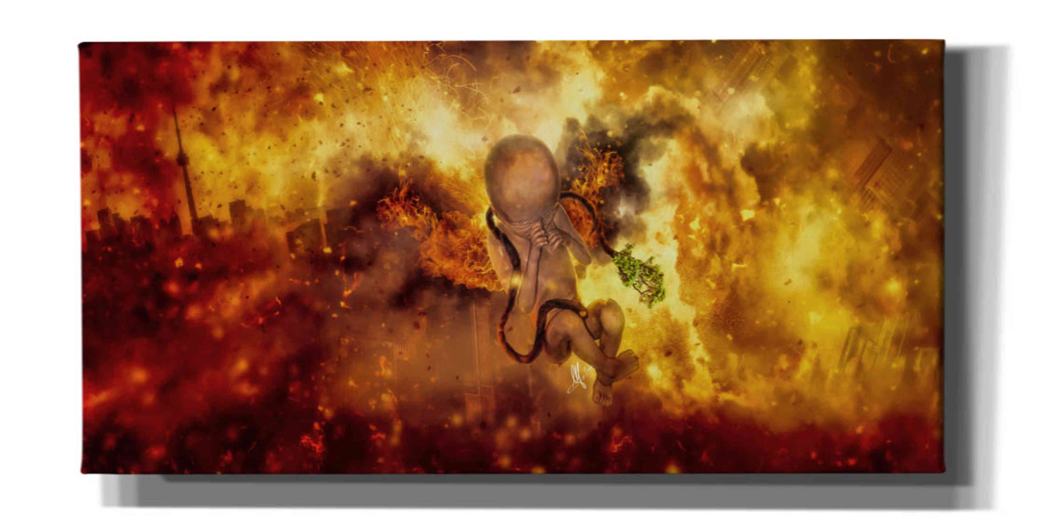 'Phoenix Newborn' by Mario Sanchez Nevado, Canvas Wall Art,Size 2 Landscape