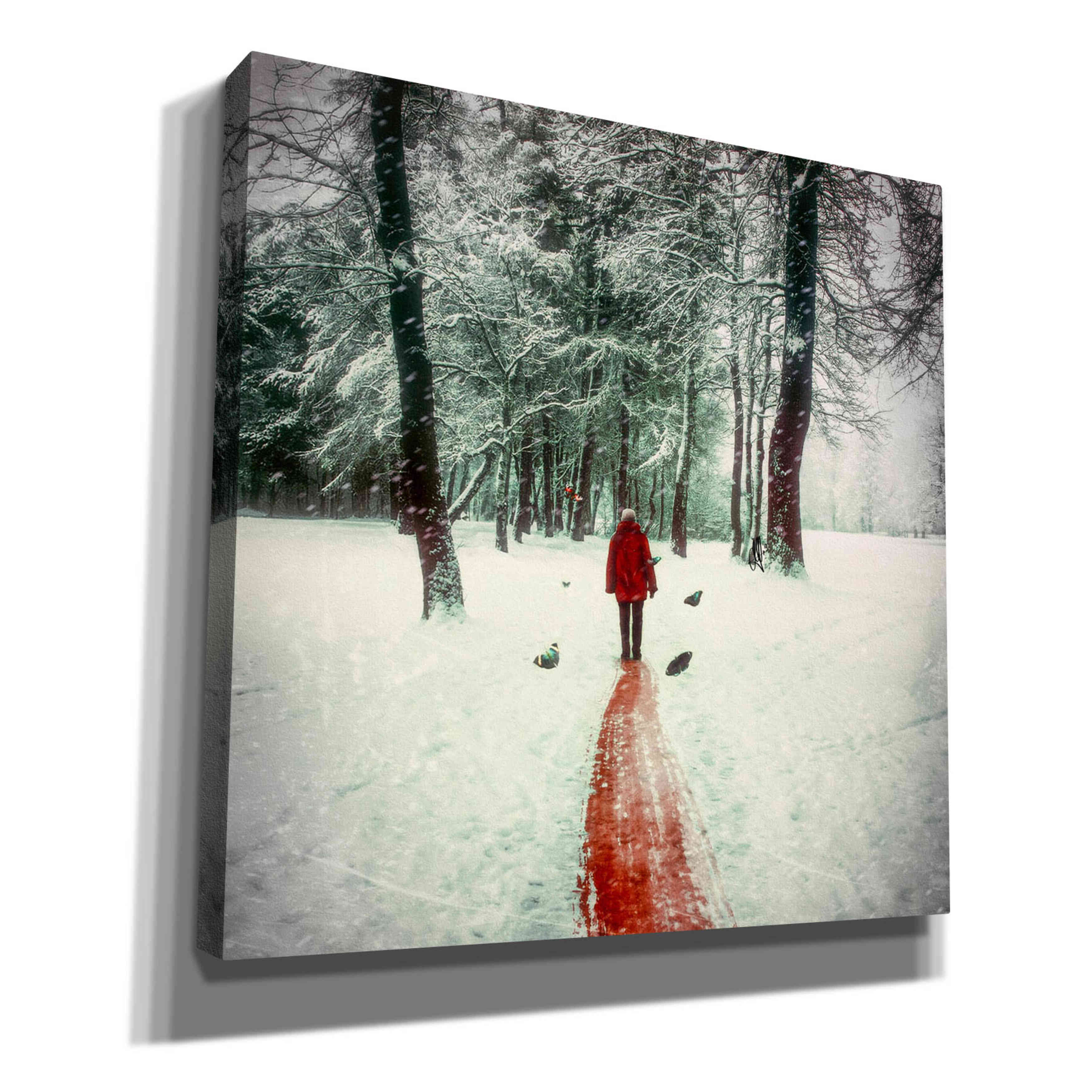 'Pure' by Mario Sanchez Nevado, Canvas Wall Art,Size 1 Square