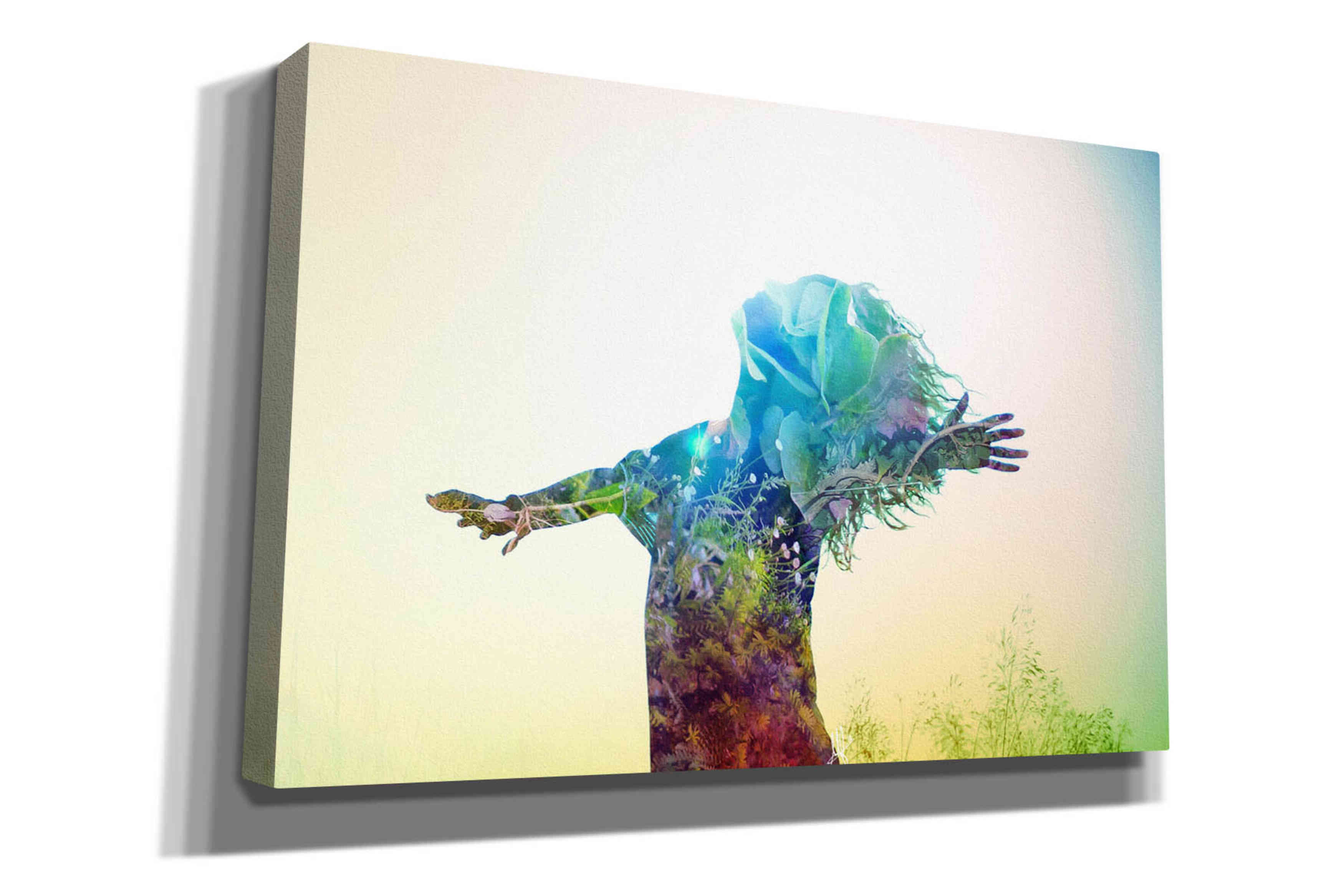 'Release' by Mario Sanchez Nevado, Canvas Wall Art,Size A Landscape